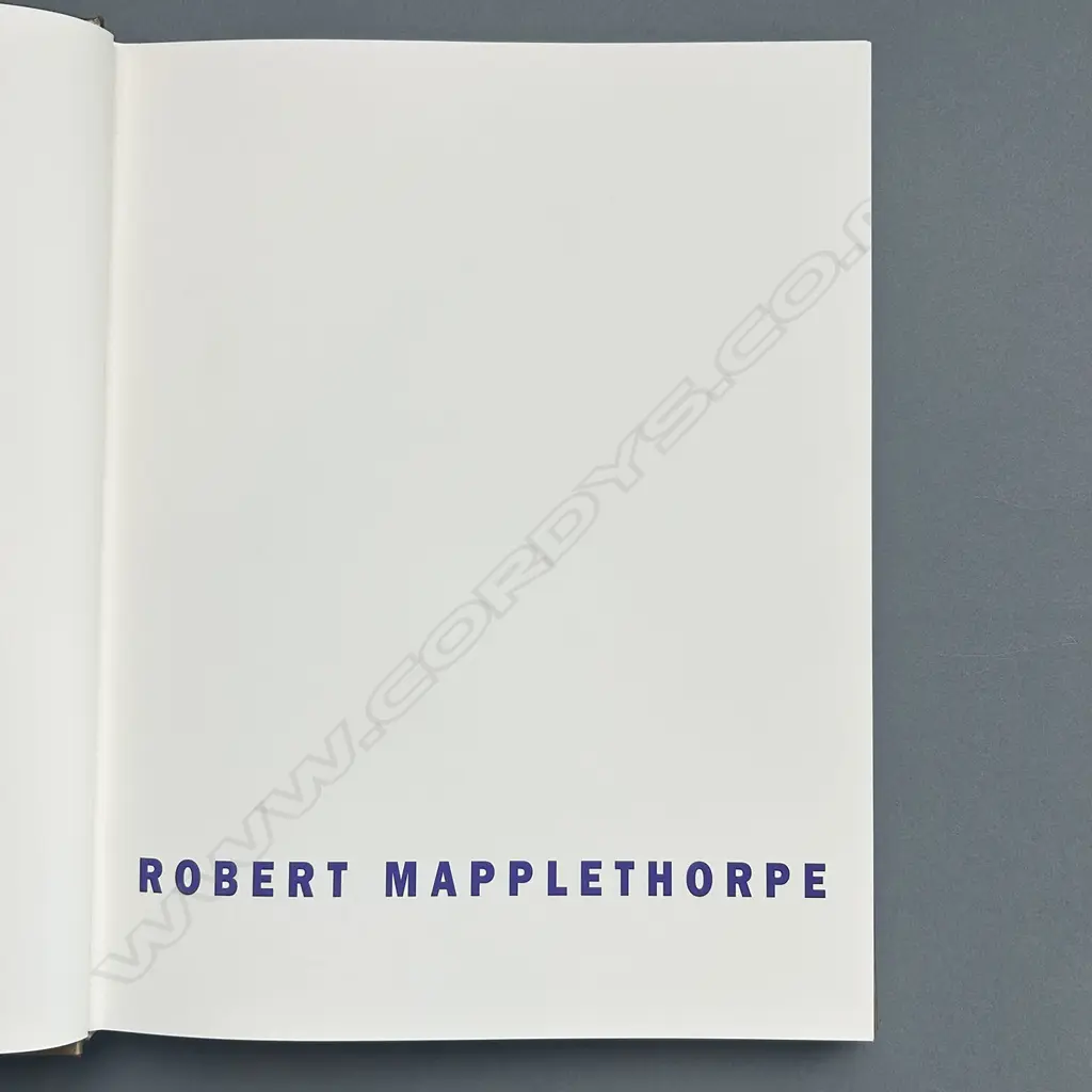 ROBERT MAPPLETHORPE: EARLY WORKS 1970-1974 Image 1++